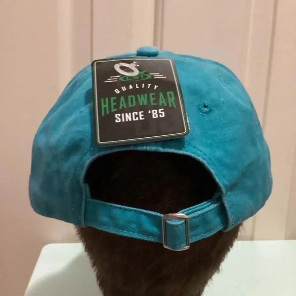 NWT Mama Bear Smoky Mountains Distressed Strapback Hat - Picture 3 of 7